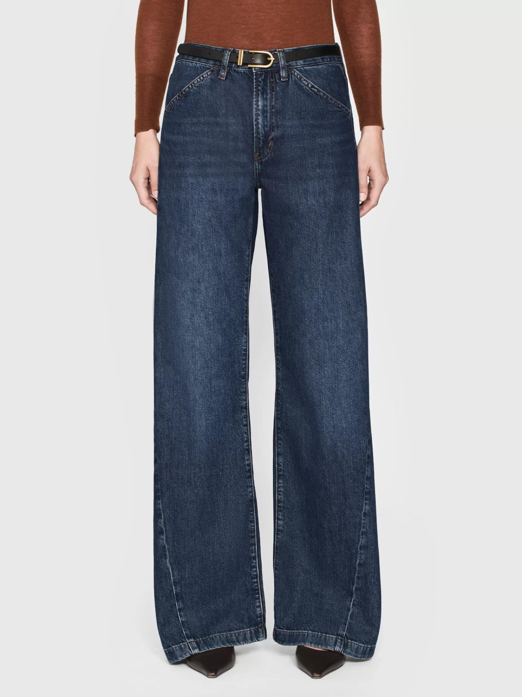 Wide Leg*FRAME Le Baggy Palazzo in Bryce