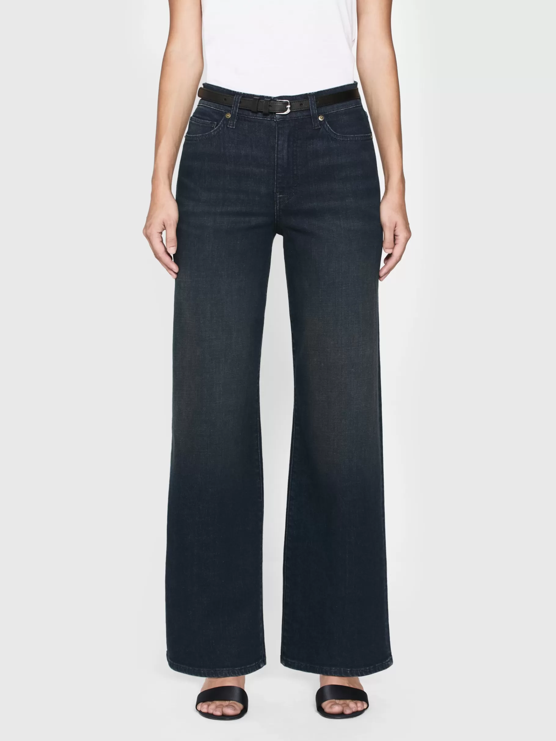 Wide Leg*FRAME Le Slim Palazzo in Beaumont